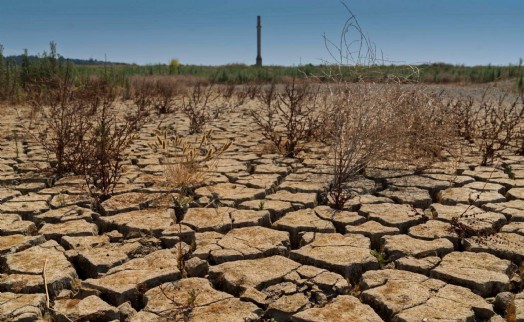 'Kuraklık ve su krizi gıda sektörünü olumsuz etkiliyor'