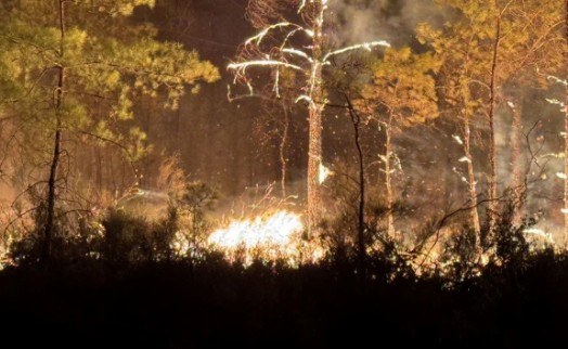 Antalya'da yangın: Lüks otel boşaltıldı