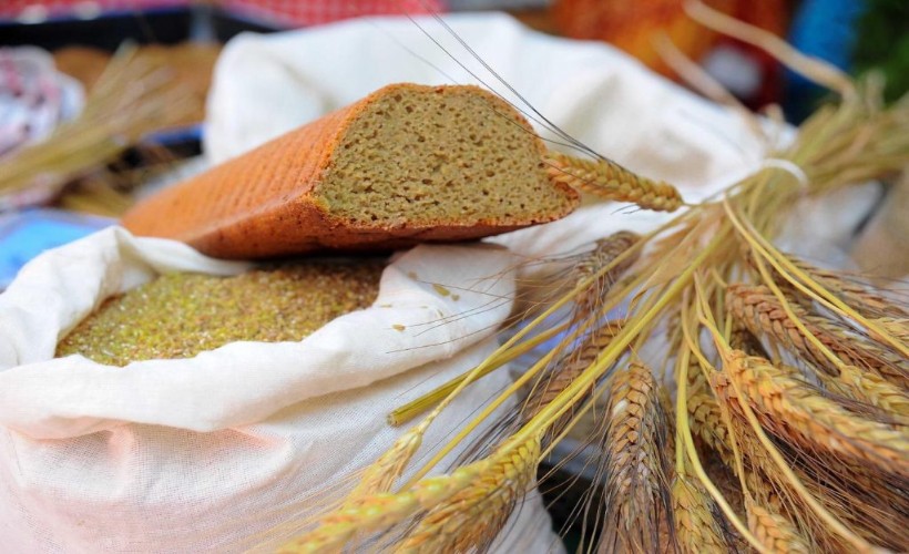 Ata Ekmeği ve Armola Şenliği, Karakılçık Rotası Lansmanıyla Ulamış’ta!