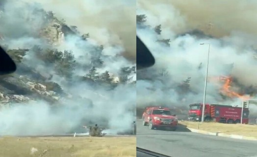 Aydın'daki maki yangını ormana sıçradı