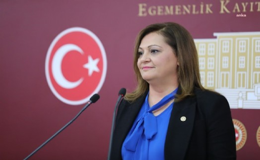 CHP'li Köksal hakkında açılan 'böcek' davasında karar çıktı!