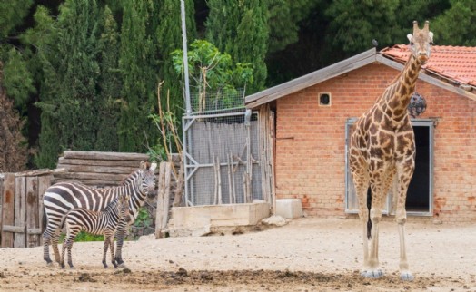 Doğal Yaşam Parkı'nda kış saati uygulaması başlıyor