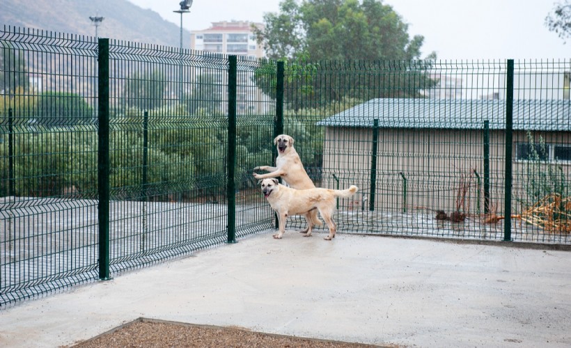 Karşıyaka’da 'Bakioğlu Can Dostlarımız Yaşam Merkezi' açılıyor!