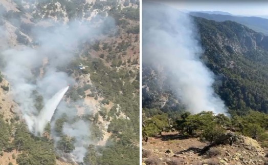 Muğla'da orman yangını 2.5 saatte kontrol altına alındı