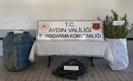 Ormanda Hint keneviri yetiştiren 5 şüpheliye gözaltı