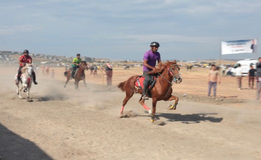 Türkiye'nin şampiyon atları Menemen'de yarıştı