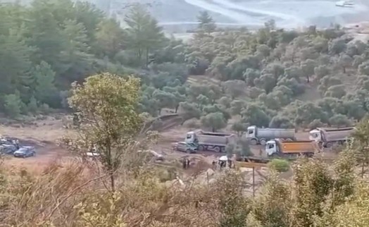 Zeytinlerin idam fermanı yürürlükte: Muğla'da sökümler başladı