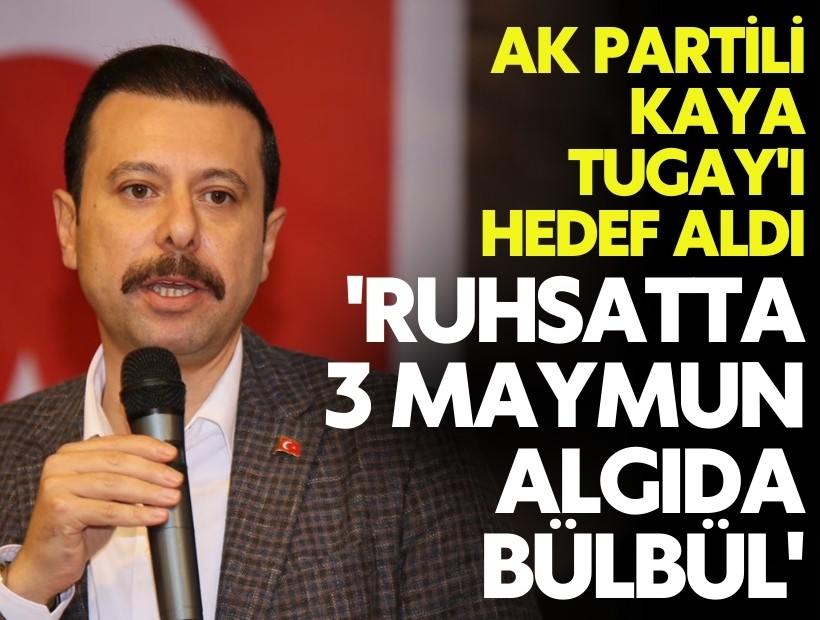 AK Partili Kaya Tugay'ı hedef aldı: 'Ruhsatta 3 maymun algıda bülbül'