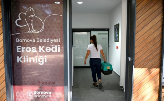 Eros Kedi Kliniği Bornova'da umut merkezi oldu