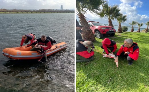 İzmir İtfaiyesi ayağına misina dolanan flamingoyu kurtardı