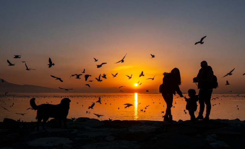 Kardeş Kadrajlar Uluslararası Fotoğraf Yarışması başlıyor