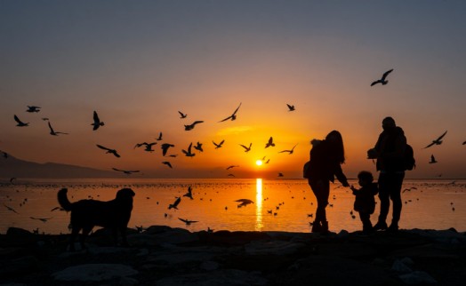 Kardeş Kadrajlar Uluslararası Fotoğraf Yarışması başlıyor