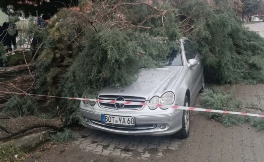 Kütahya'yı fırtına vurdu: Ağaçlar devrildi, çatılar uçtu