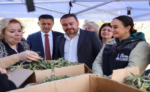 Menderes'te salep umudu