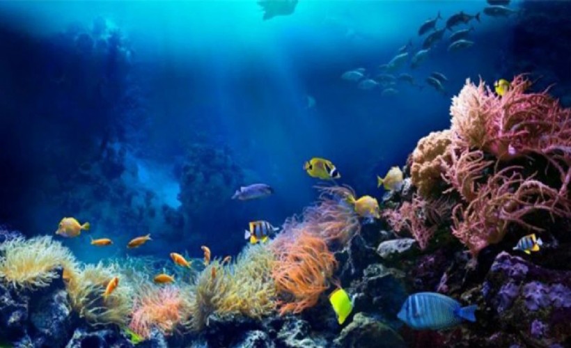 Okyanusların sesi Elhamra Sahnesi’nde