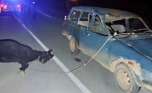 Otomobil ata çarptı: 2 yaralı