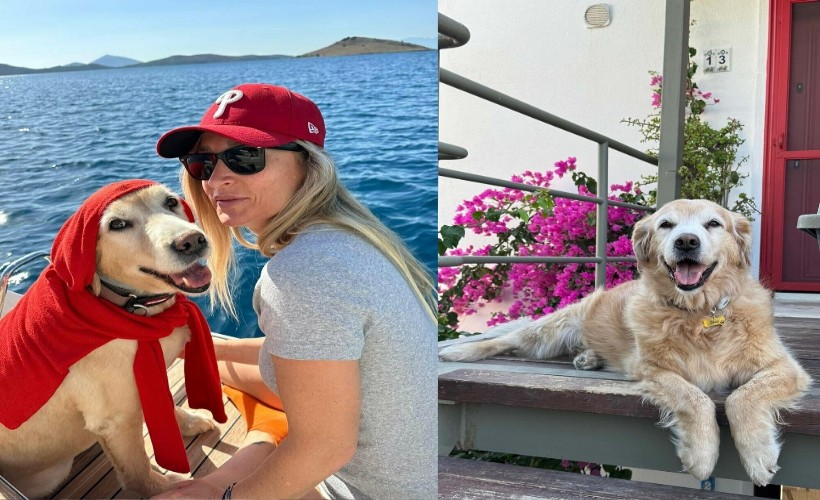 Otomobilin çarptığı köpek Çinko'nun sahibi emsal karar bekliyor!