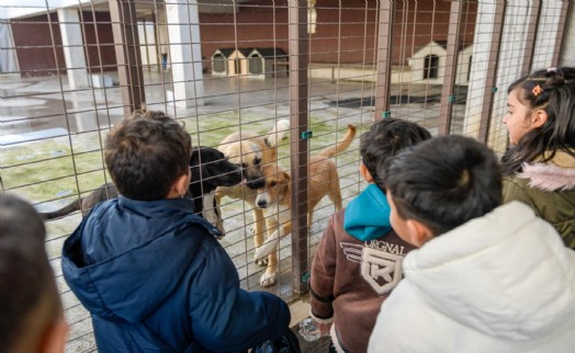 Tek Sağlık yaklaşımıyla İzmir'de hayvan refahı artıyor