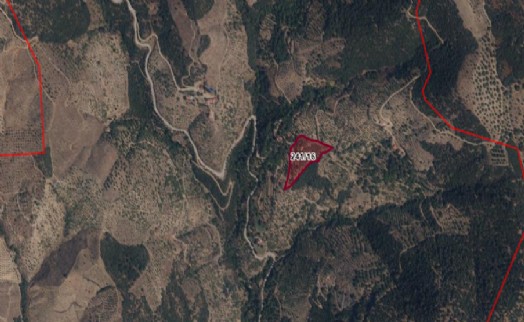 Tire'de tarihi alan koruma altına alındı