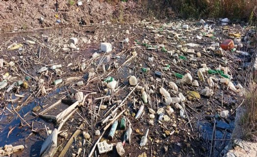 Uzmanından kritik uyarı: İzmir'de asıl sorun su kirliliği!