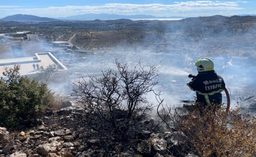 Bodrum'da maki yangını: Ekiplerin hızlı müdahalesi büyümesini önledi