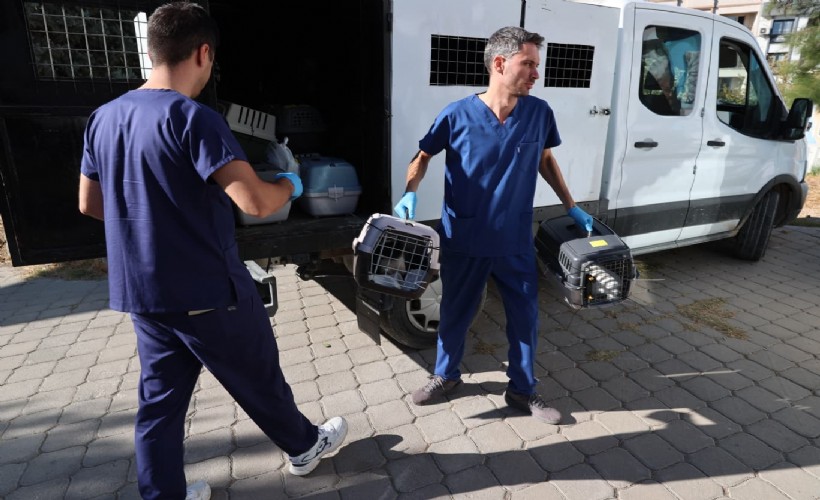 Buca Belediyesi'nden iddialara yanıt hayvaseverlere destek