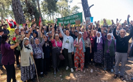 Danıştay Akbelen'de şirket lehine karar: Bölge halkı tepkili