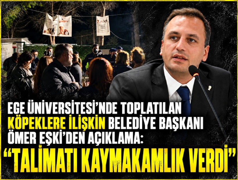 Ege Üniversitesi'nde toplatılan köpeklere ilişkin Belediye Başkanı Ömer Eşki'den açıklama: 'Talimatı Kaymakamlık verdi!'