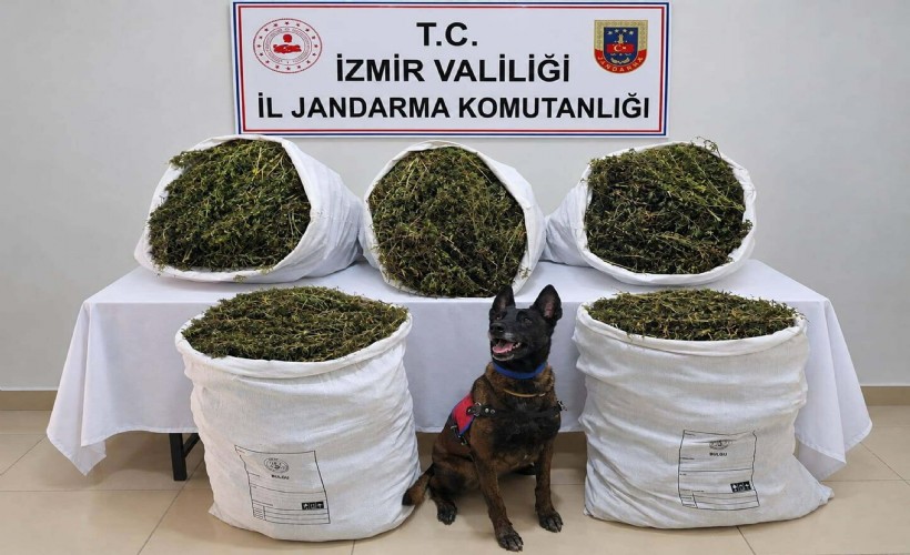 İzmir'de dev uyuşturucu operasyonu! 54 kilo 800 gram kubar esrar ele geçirildi