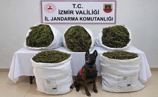 İzmir'de dev uyuşturucu operasyonu!
