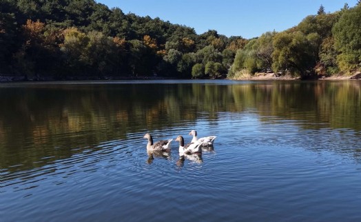 Karagöl Tabiat Parkı'nda sonbahar manzarası