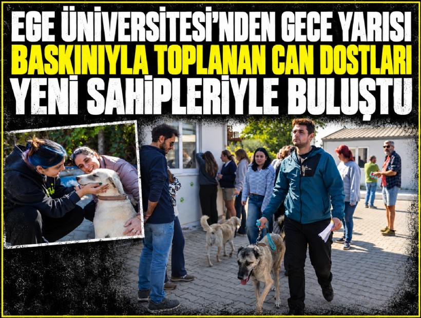 Kaymakamlık talimatıyla Ege Üniversitesi'nden toplanan can dostları yeni sahipleriyle buluştu