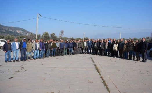 Kemalpaşa Belediyesi'nden zeytin kasası desteği