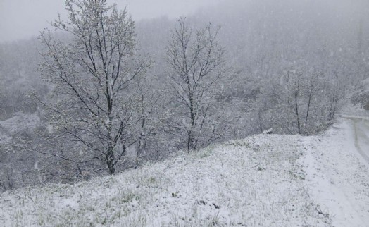 Manisa'nın yüksek kesimlerine kar yağdı