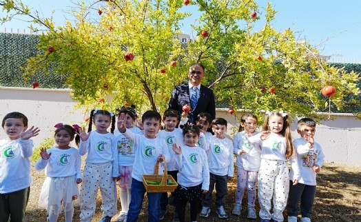Minik ellerden sağlıklı sebzeler
