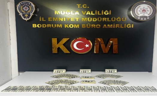 Sahte binlerce doları piyasaya süremeden yakalanan zanlı tutuklandı