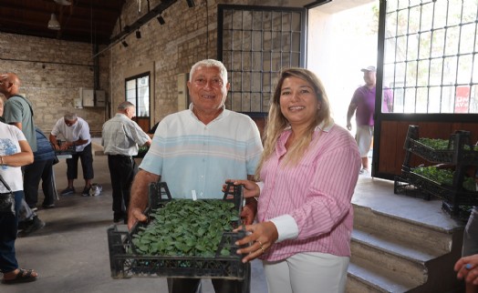 Urla'da üreticiye büyük destek: 120 bin kışlık sebze fidesi dağıtıldı