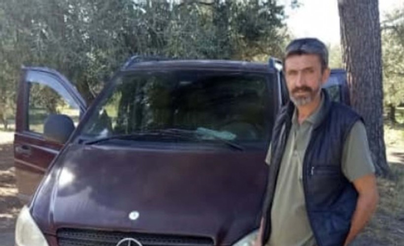 Zeytin bahçesinde arı sokması can aldı