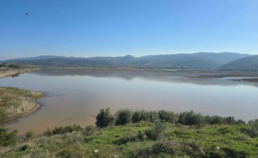 Alaşehir Avşar Barajı'nda yüzler gülüyor