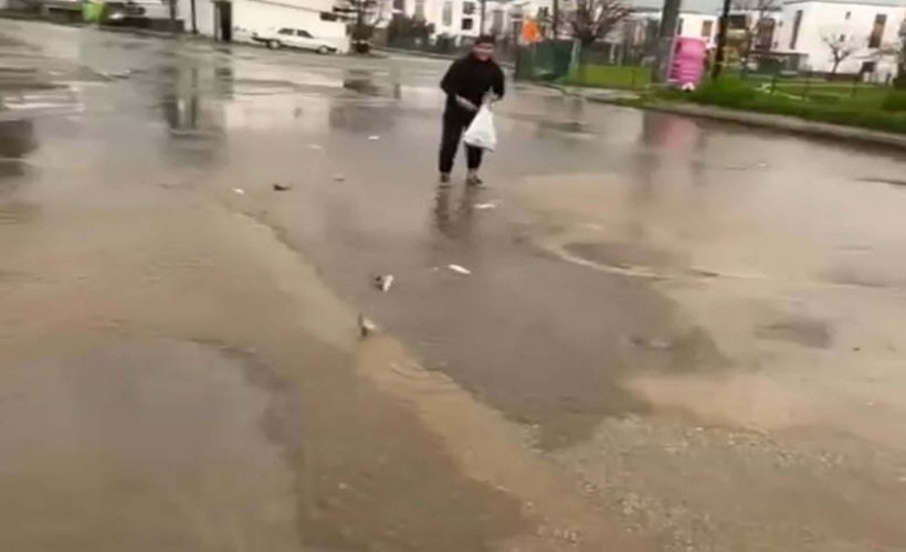 Bodrum'da sağanak: Taşan göletteki balıklar yola saçıldı!