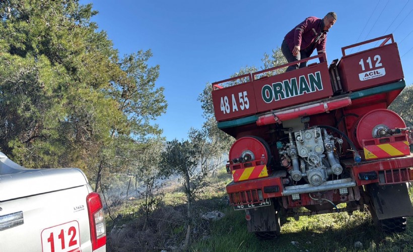 Bodrum’da arazide çıkan temizlik ateşi yangına neden oldu