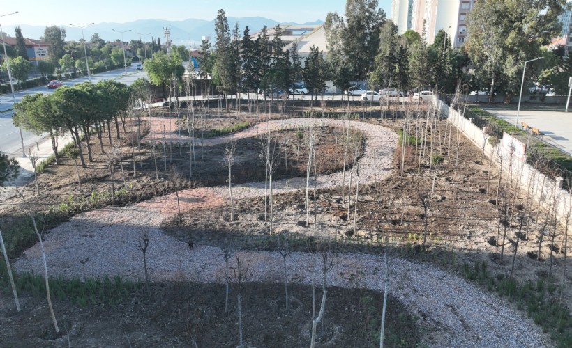 Büyükşehir'den mini orman seferberliği