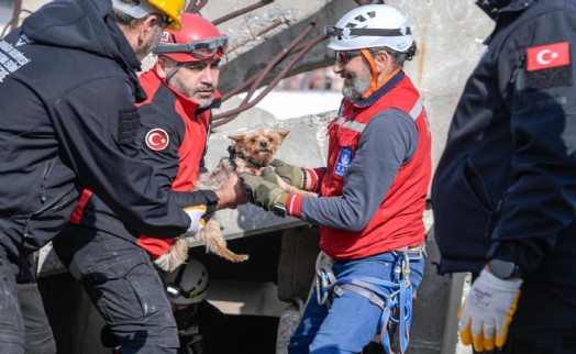 Büyükşehir'den afetzede hayvanlar için arama kurtarma eğitimi