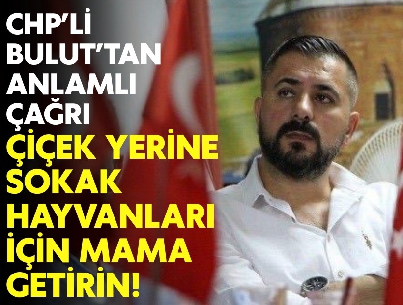 CHP’li Bulut’tan anlamlı çağrı: Çiçek yerine sokak hayvanları için mama getirin!