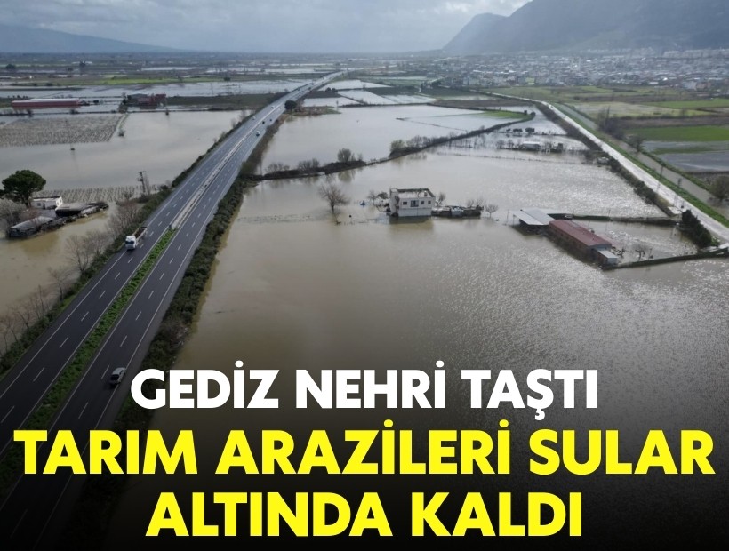 Gediz Nehri taştı: Tarım arazileri sular altında kaldı!