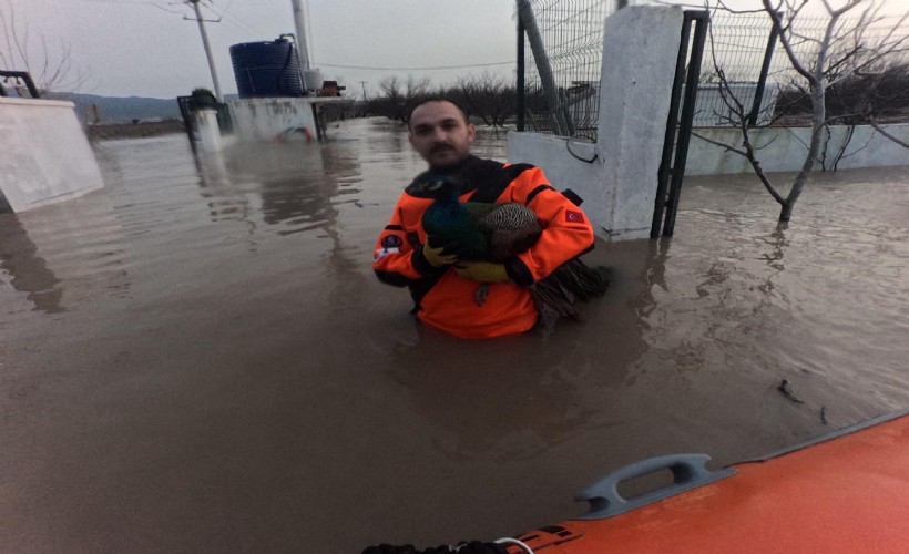 İzmir İtfaiyesi'nden tavuk çiftliğinde kurtarma operasyonu