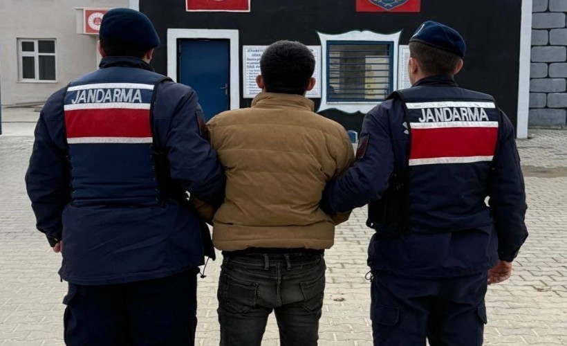 Jandarma Afyon Çay'da bir haftada 50 kişi yakaladı