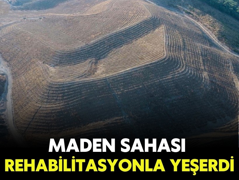 Maden sahası rehabilitasyonla yeşerdi