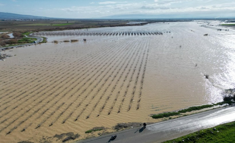 Nif Çayı taştı, Gediz Ovası su altında kaldı