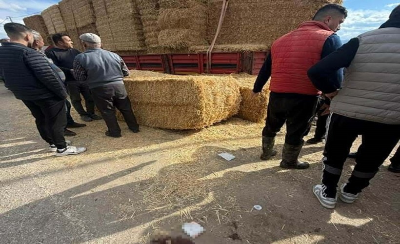 TIR'dan düşen saman balyalarının altında kalıp öldü; o anlar kamerada